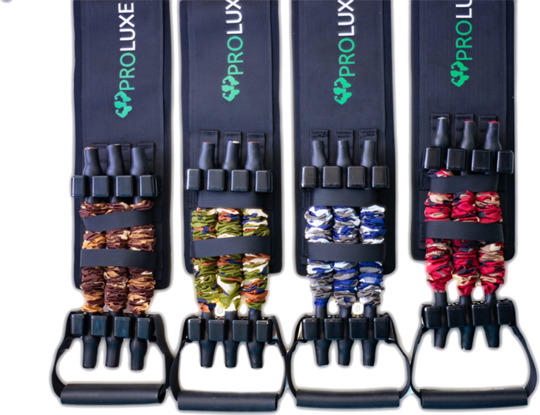 Limited Offer Gymproluxe